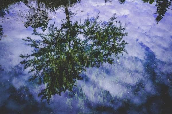 Customer advance balance applied at the POS settle screen