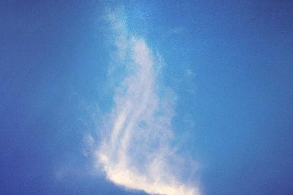 Apparel POS showing colour × size matrix with stock counts