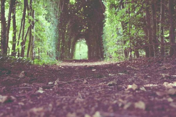 Audit trail viewer with filterable bill mutations