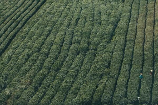 Device whitelist screen showing approved POS terminals